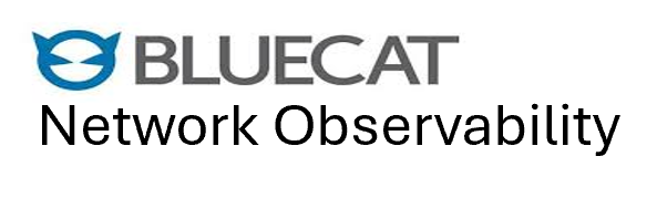 BlueCat Network Logo